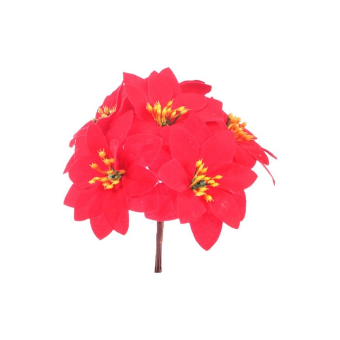 MAZZETTO 7 MINI POINSETTE CM13